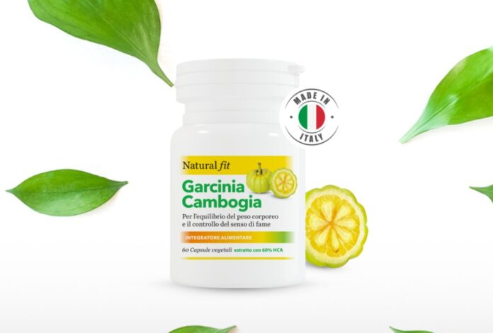 garcinia cambogia polvere
